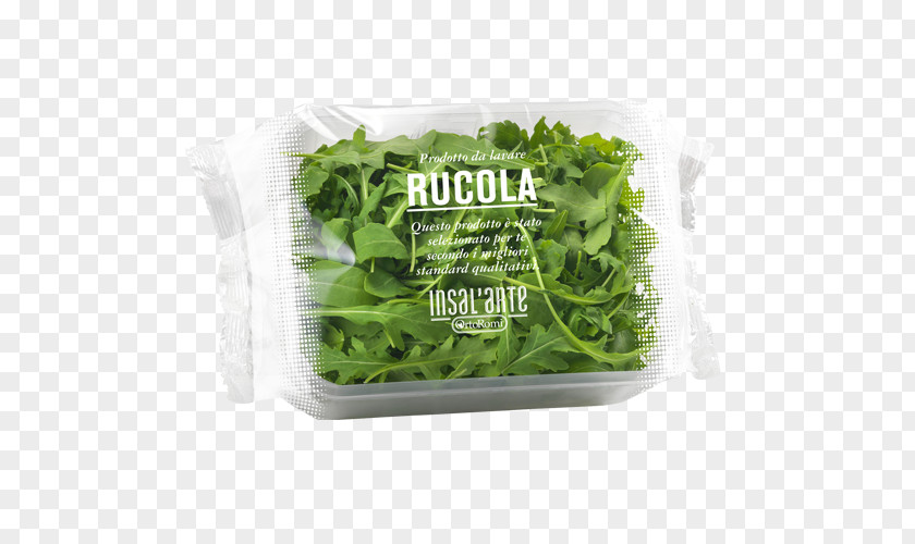 Salad Romaine Lettuce Carpaccio Vegetarian Cuisine Arugula Herb PNG