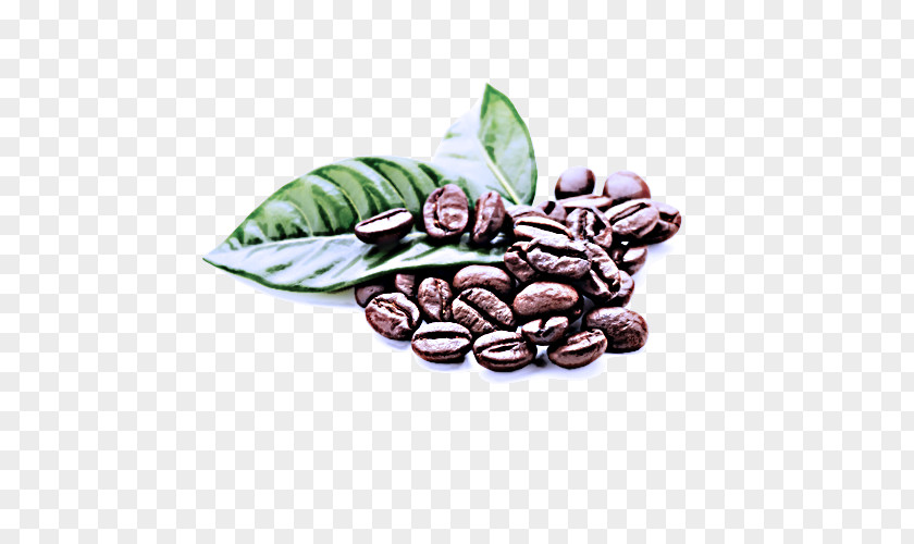 Superfood Plant Cocoa Bean Jamaican Blue Mountain Coffee Caffeine Food PNG