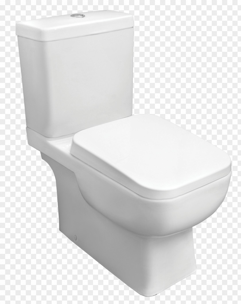 Toilet & Bidet Seats Flush Squat PNG