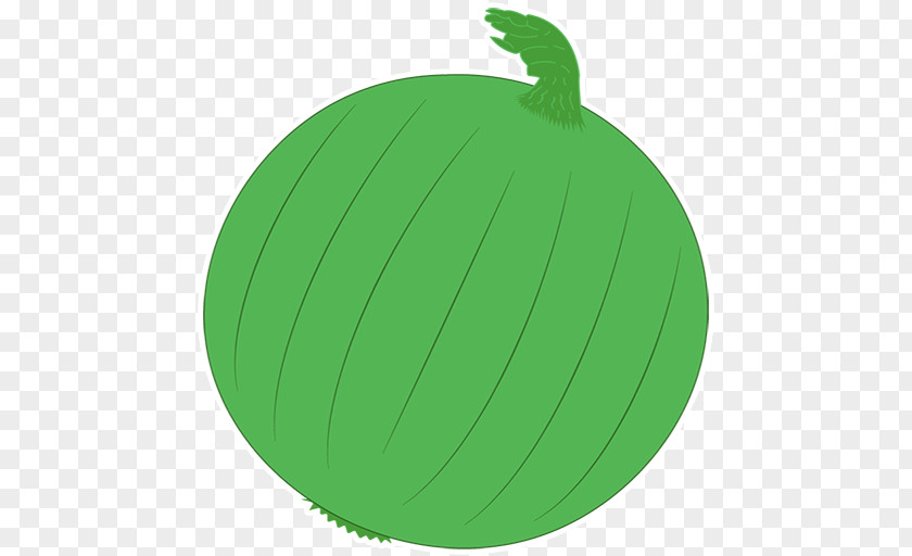 Torcedor Fruit PNG