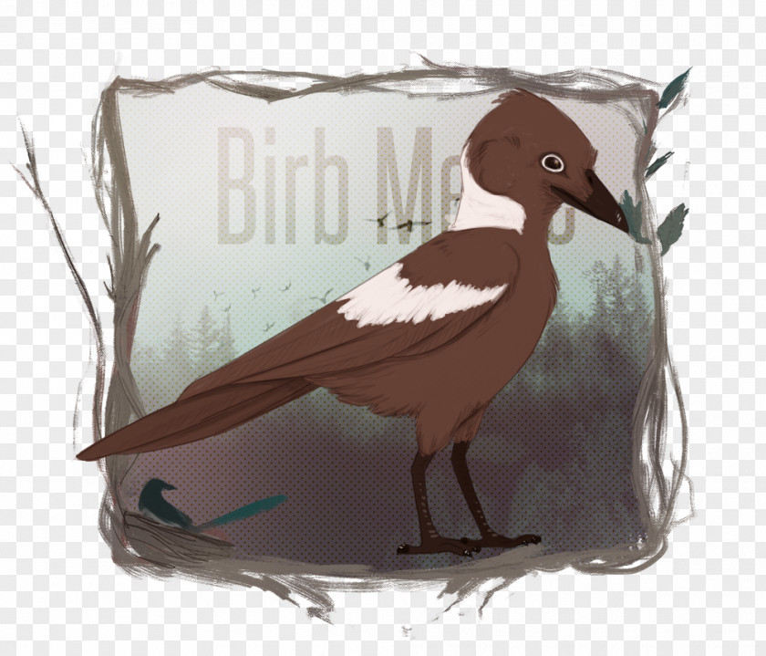 Bird Goose Drawing Beak Art PNG