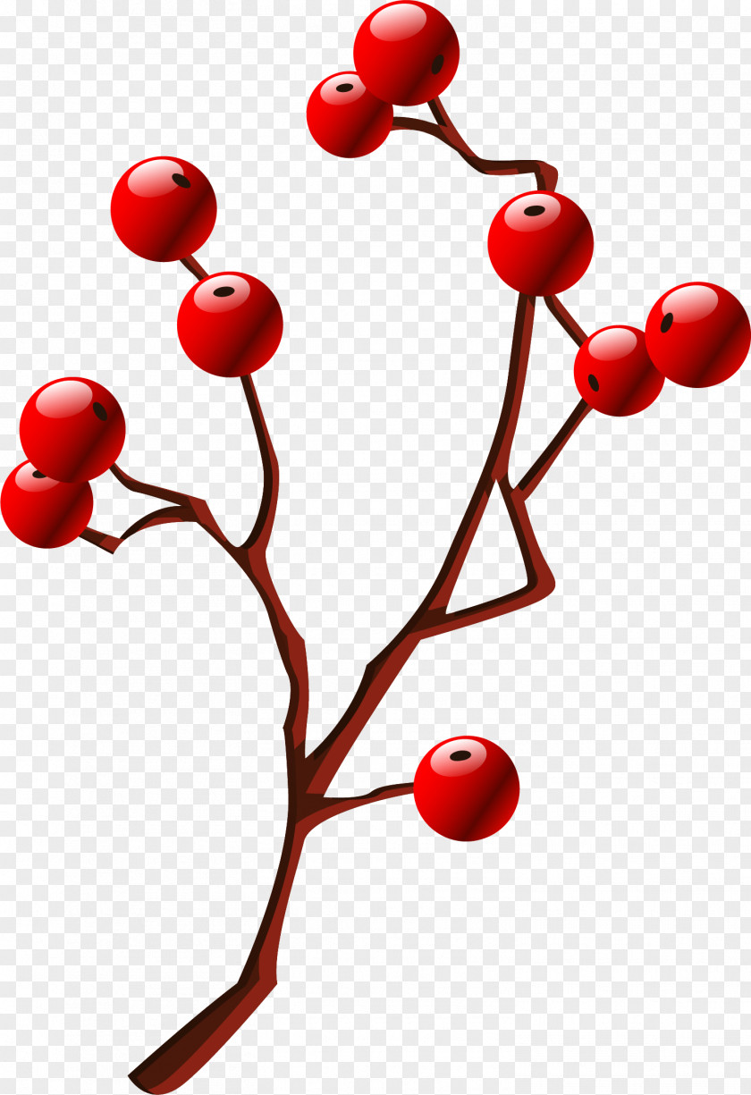 Hand Painted Red Cherry Hawthorn Clip Art PNG