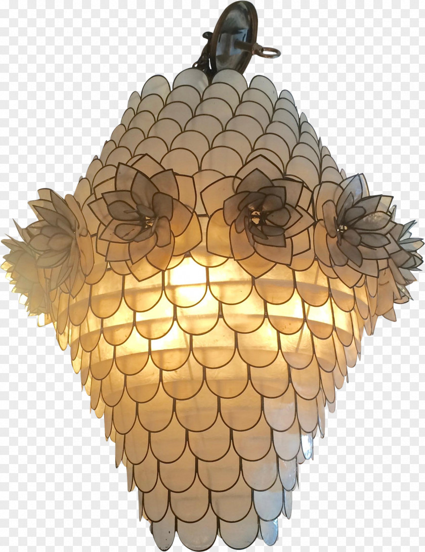 Light Incandescent Bulb Drab Chandelier Windowpane Oyster PNG