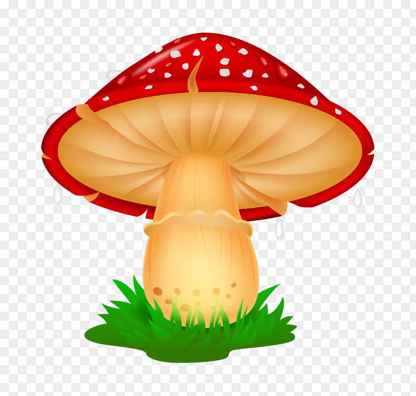 Mushroom,fungus Mushroom Drawing Cartoon Illustration PNG