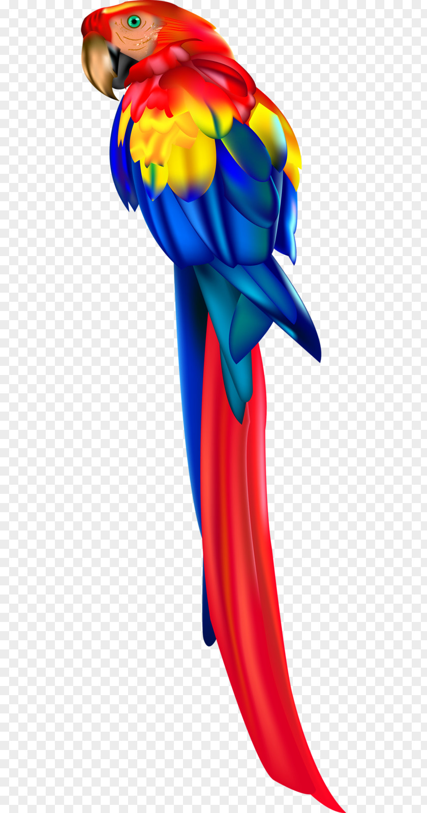 Parrot Macaw Clip Art PNG
