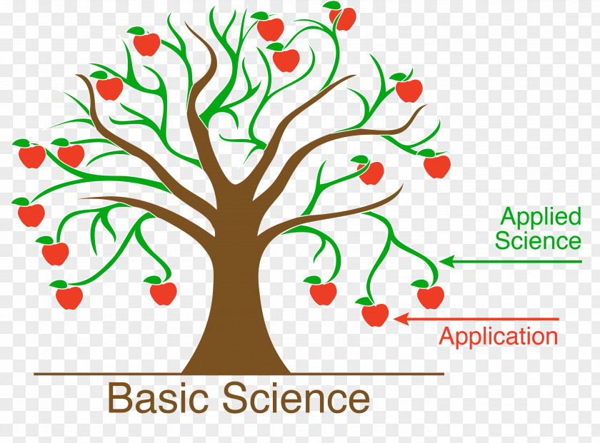 Trunk Basic Research Science Scientist Electrical Engineering PNG