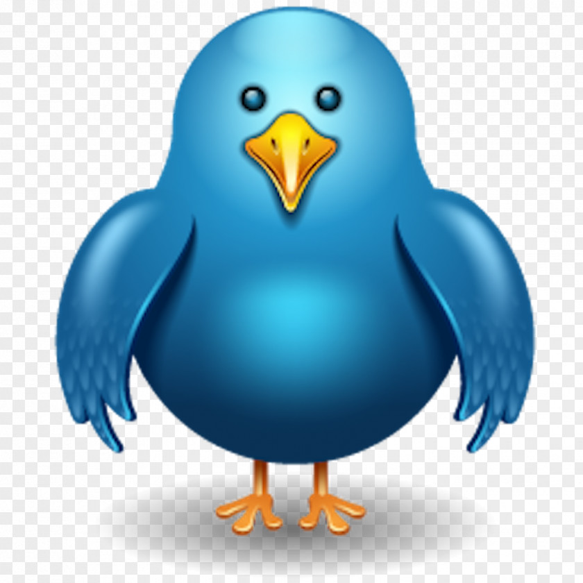 Twitter Bird Download Clip Art PNG