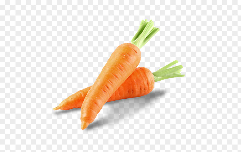 Bunch Organic Food Carrot Moroccan Cuisine Vegetable PNG