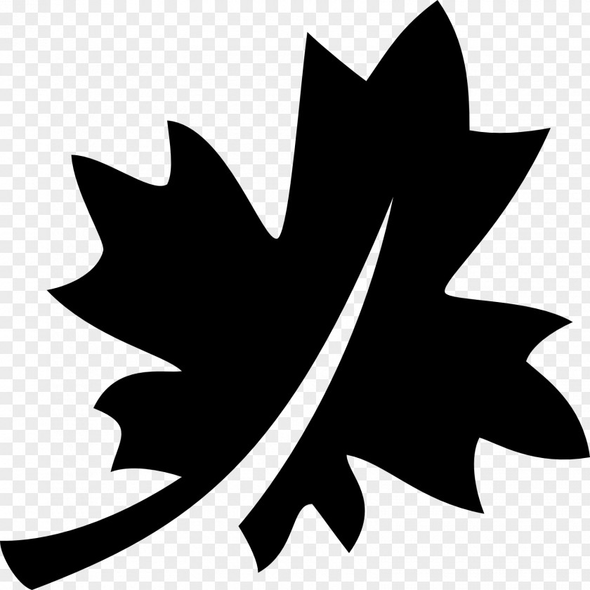 Canadian Maple Leaf Canada PNG
