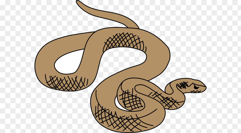 Colubridae Grass Snake Cartoon PNG