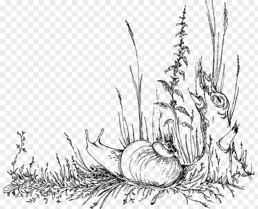 Grass Drawing Sketch Vector Graphics Image Clip Art PNG