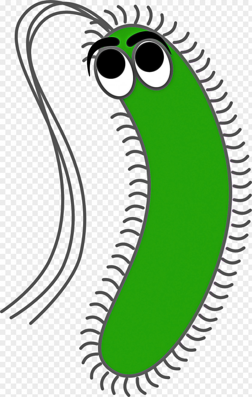 Green Head Mouth Line Art PNG