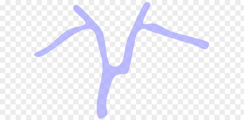 Lung Cancer Antler Font PNG