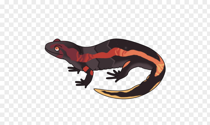 Salamandra Reptile Animal PNG