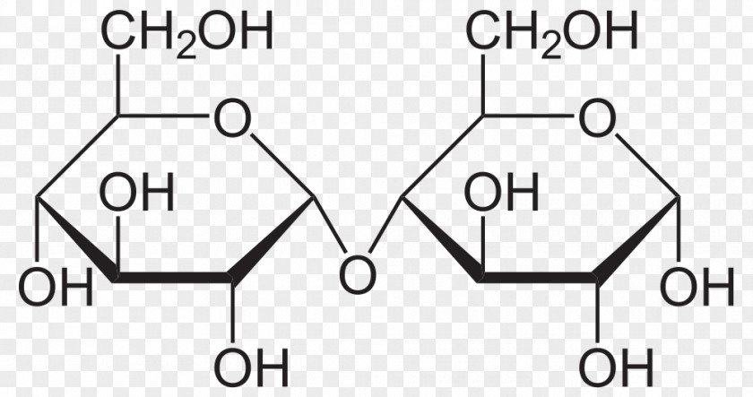 Starch Maltose Disaccharide Glycosidic Bond Reducing Sugar Glucose PNG