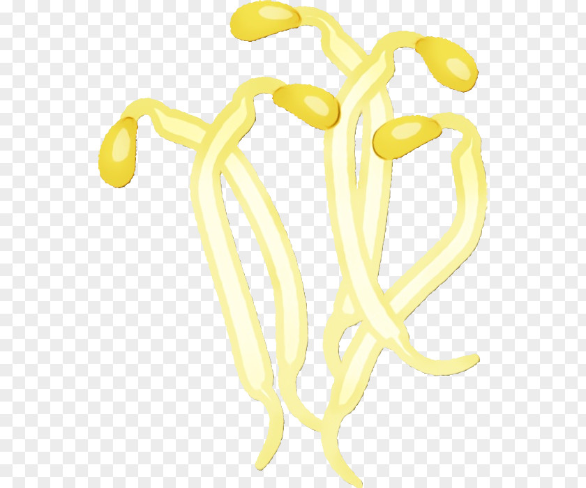 Yellow Joint Line Jewellery Fruit PNG