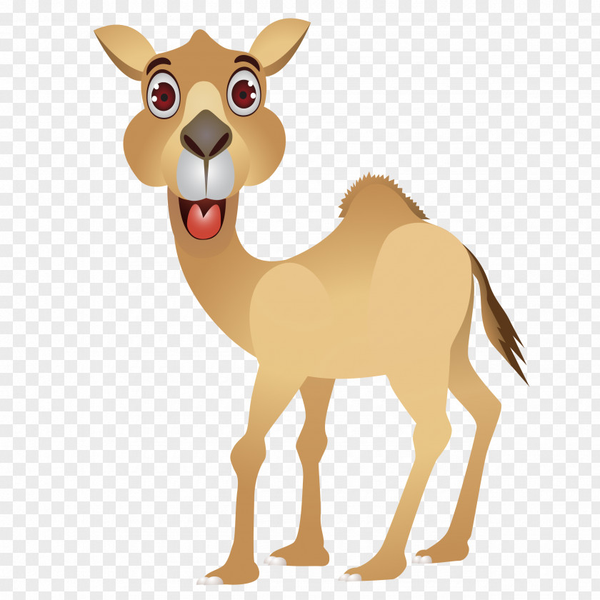 Camel Face Vector Graphics Clip Art Illustration PNG