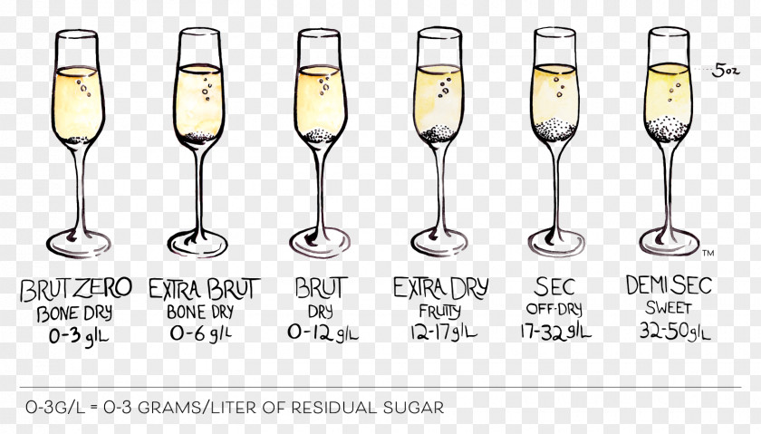 Champagne Glass Sparkling Wine White PNG
