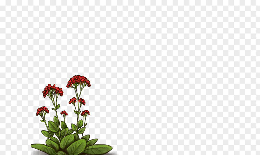 Design Floral Cut Flowers Plant Stem Flowerpot PNG