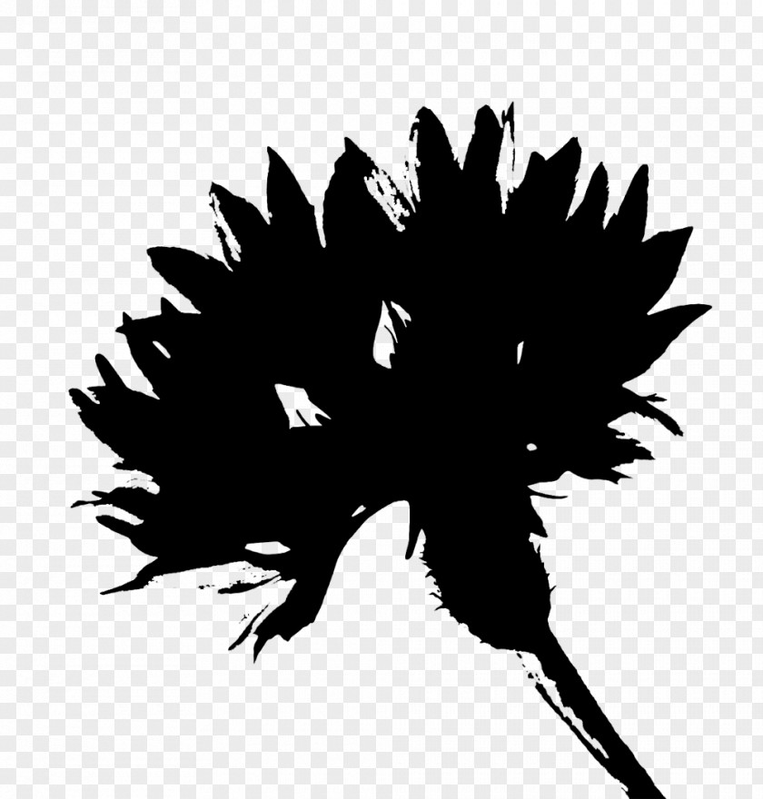 Desktop Wallpaper Clip Art Flower Silhouette Computer PNG