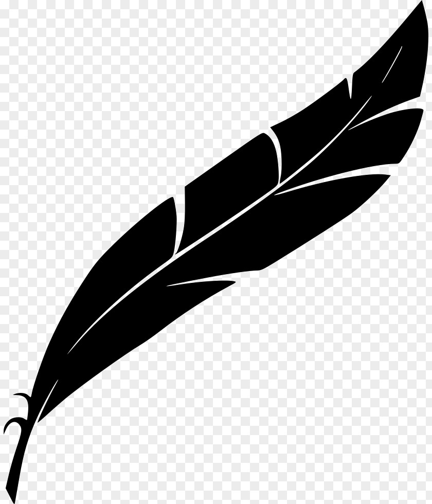 Feather Quill PNG