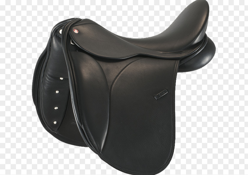 Horse English Saddle Equestrian Cinches PNG