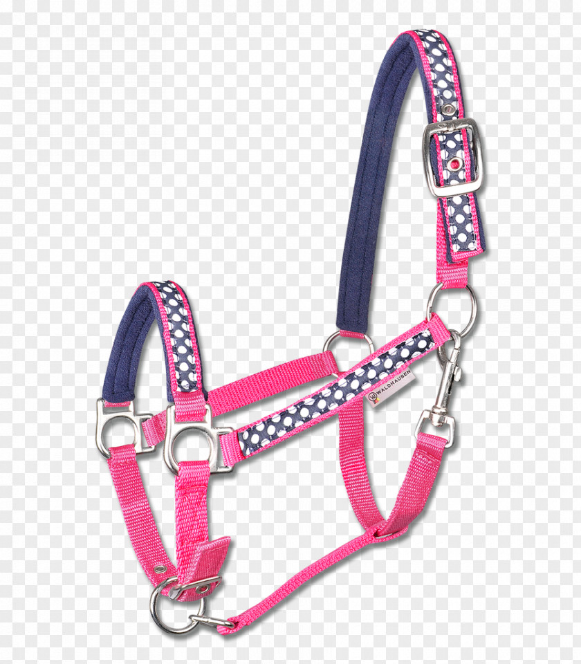 Horse Halter Equestrian Bridle Panic Snap PNG