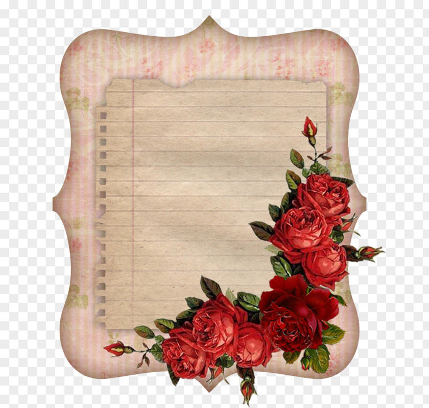 Rose Garden Roses Paper Photography PNG