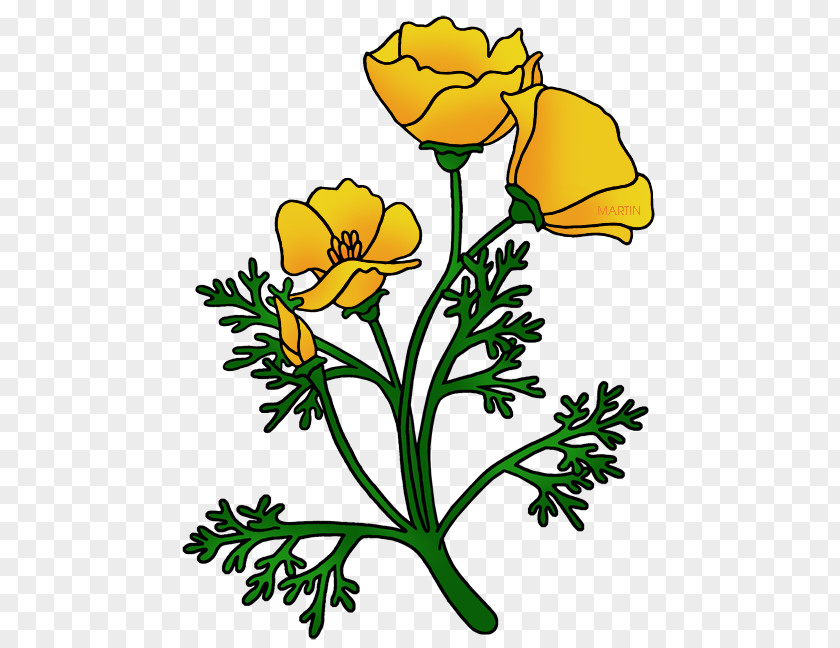 California Poppy Remembrance Clip Art PNG