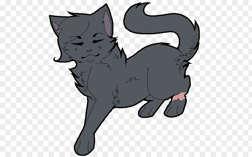 Floating Gift Cat Warriors Whiskers Cinderpelt PNG