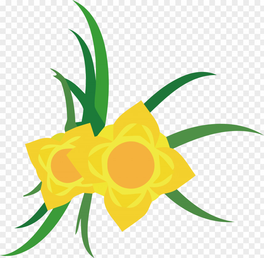 Floral Design PNG