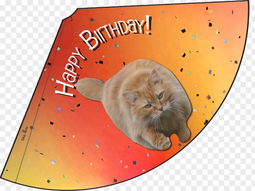 Kitten Whiskers Party Hat Birthday PNG