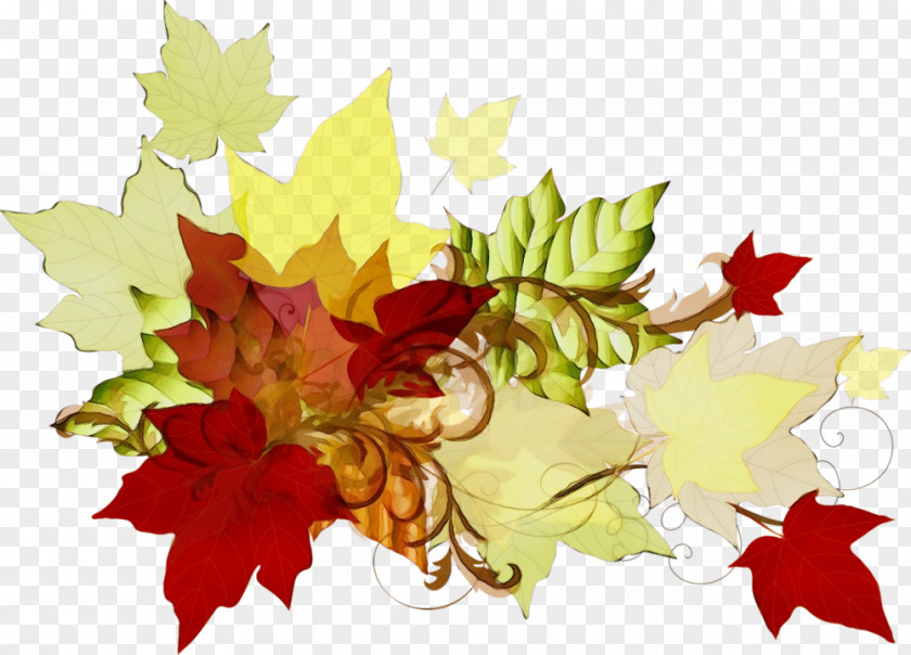 Planetree Family Silver Maple Autumn Leaves Watercolor PNG