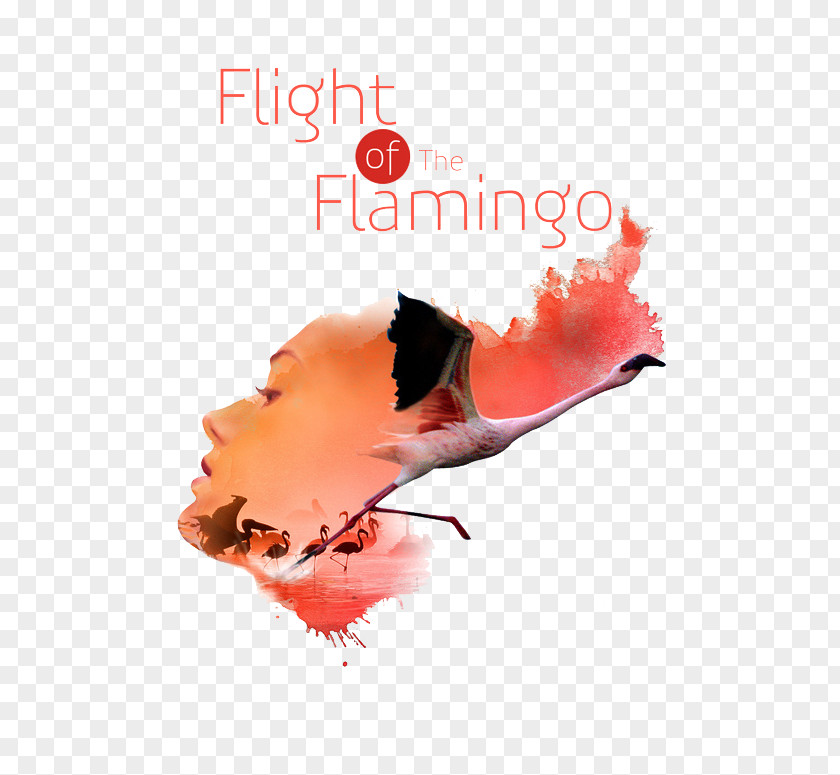 Red Face Pattern Flight Of The Flamingo Graphic Design Poster Designer PNG