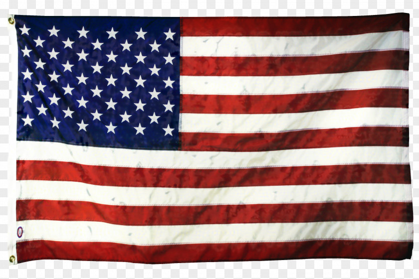 Veterans Day Flag Usa Independence PNG