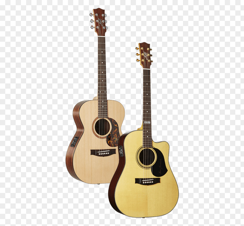 Acoustic Event Steel-string Guitar C. F. Martin & Company Acoustic-electric PNG