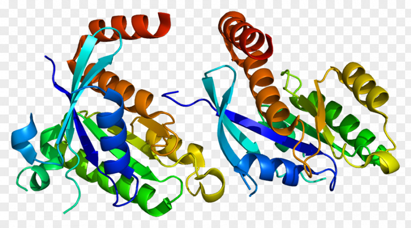 G Protein Gene RAP2A GEM PNG