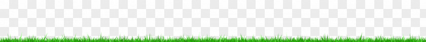 Grass Lawn Meadow Grassland Desktop Wallpaper Grasses PNG