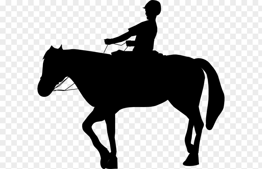 Horse Equestrian Vector Graphics Silhouette Clip Art PNG