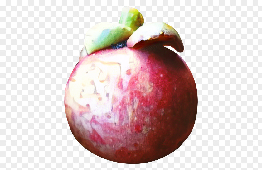 Mcintosh Pomegranate Apple Background PNG