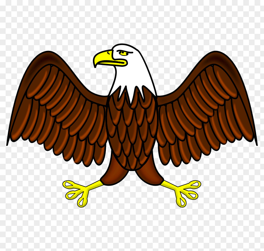 Patriotic Bald Eagle Clip Art PNG