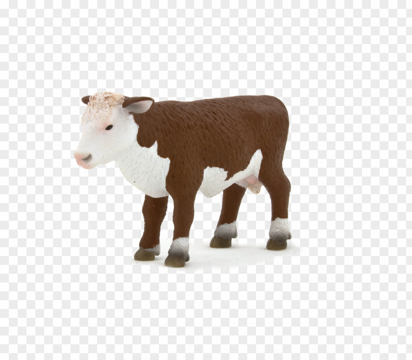 Sheep Hereford Cattle Calf Herefordshire Artikel PNG
