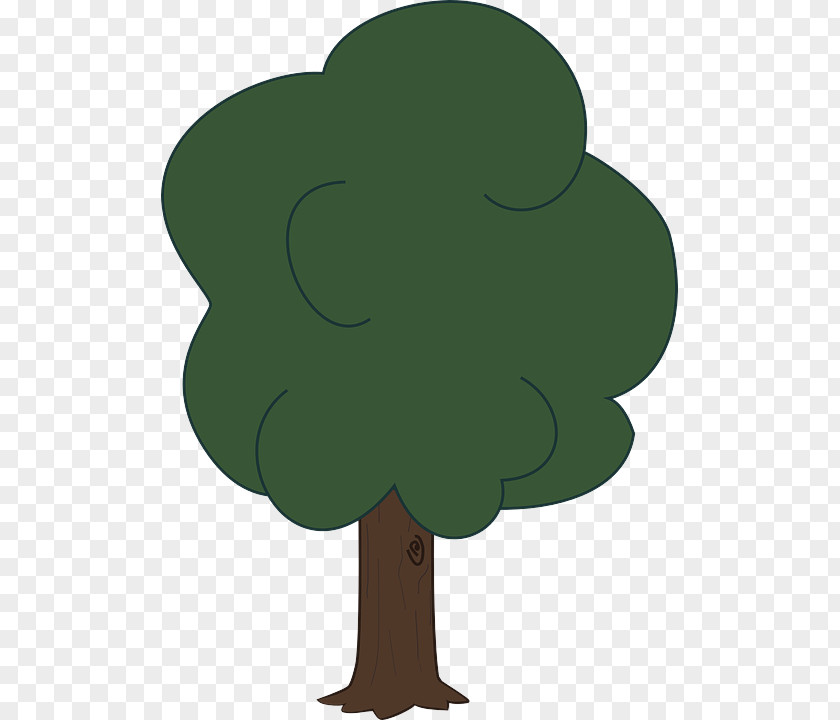 Clover Symbol Green Tree Leaf Clip Art Cartoon PNG