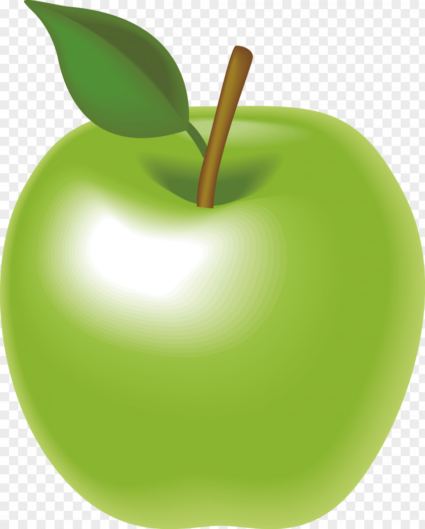 Green Apple Vector Granny Smith Animation PNG