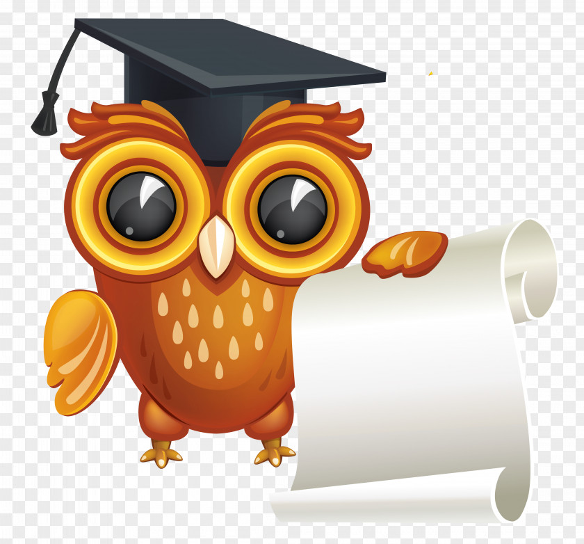 Owl With Diploma Clipart Image Graduation Ceremony Clip Art PNG