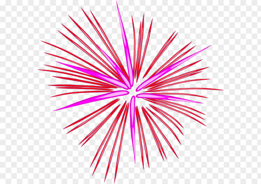 Pink Fireworks Cliparts 2016 San Pablito Market Explosion Clip Art PNG