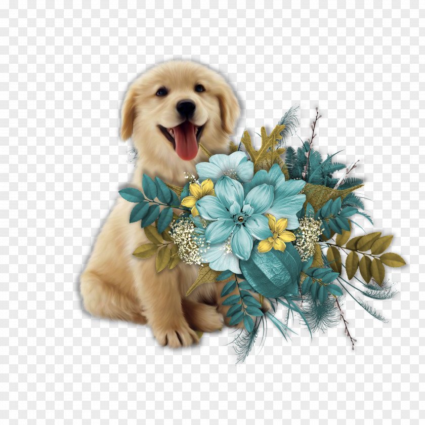 Puppy Golden Retriever Sporting Group PNG