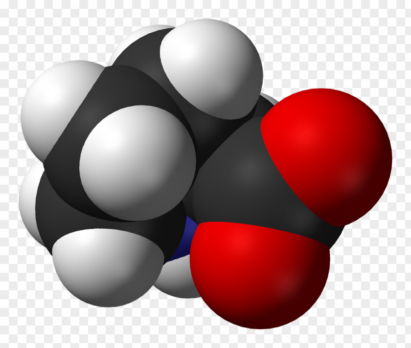 Building Proline Amino Acid Desktop Wallpaper PNG