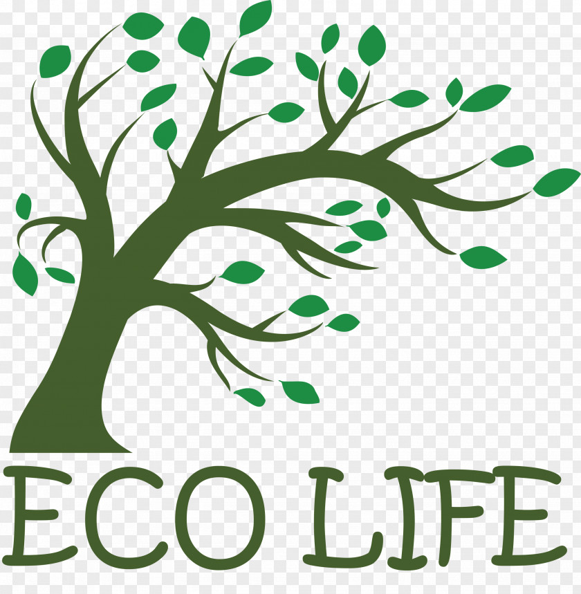 Eco Life Tree PNG