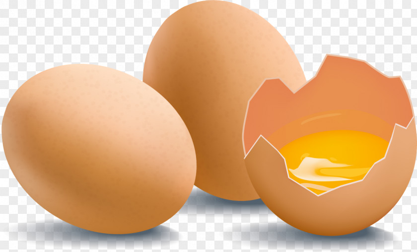 Fresh Eggs And Broken Egg Vector Chicken Yolk PNG